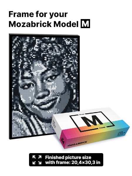 Mozabrick Frame for Model M